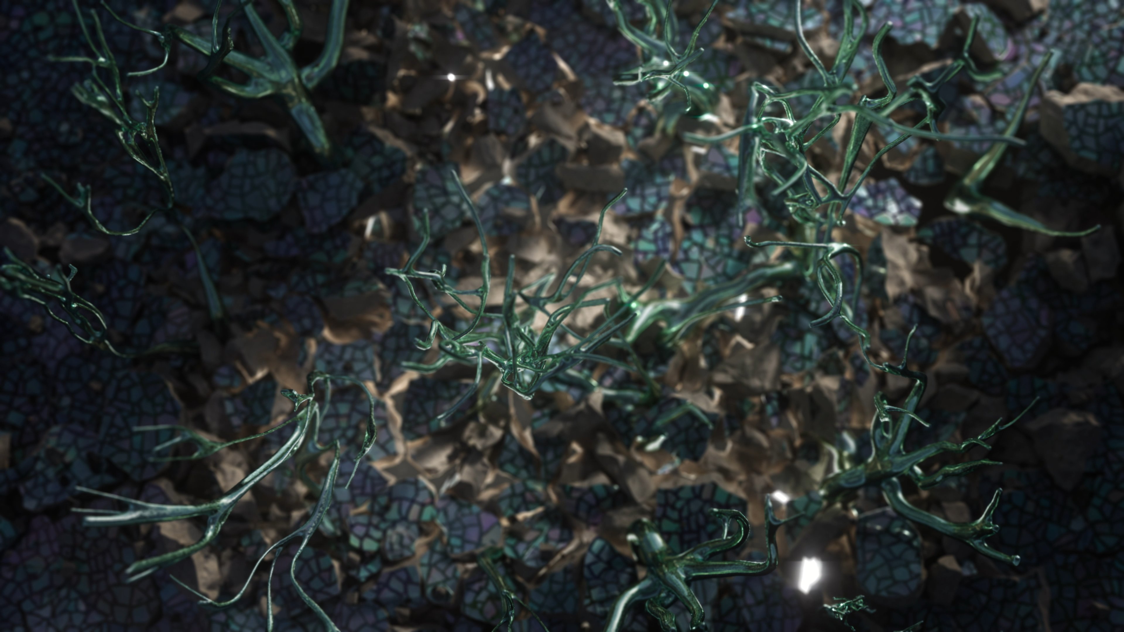 파편의 숨 — still 04